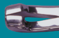 111A-Molar Forceps