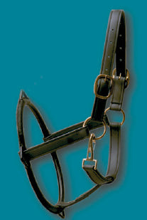 134-Dental Halter