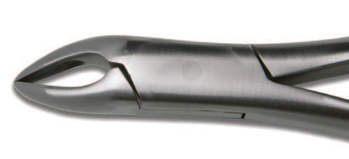 717-Wolf Tooth Forceps