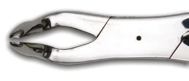 125-19" Fragment Forceps