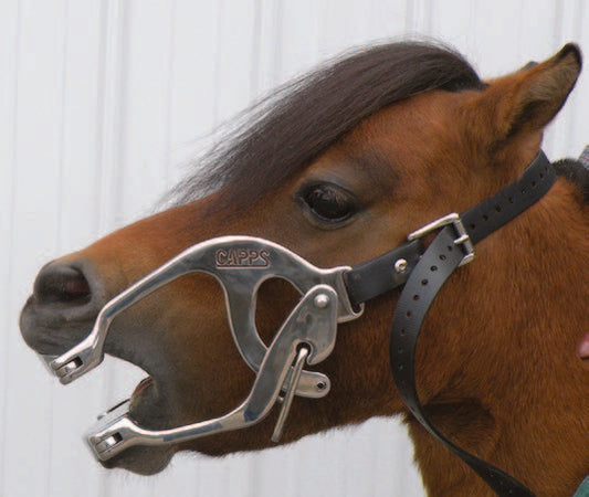 407B - CAPPS Pony/Mini Full Mouth Speculum