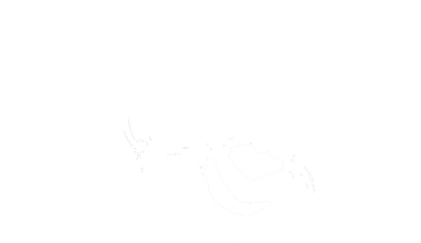 My Store
