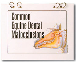 B112-Malocclusions-Booklet Form